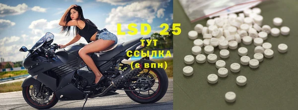 ГАЛЛЮЦИНОГЕННЫЕ ГРИБЫ Лиски