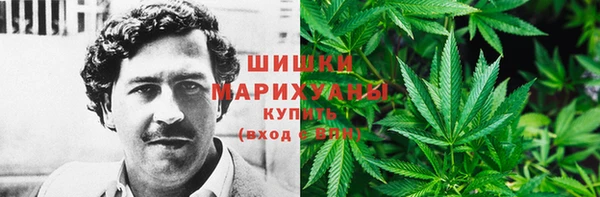 ГАЛЛЮЦИНОГЕННЫЕ ГРИБЫ Лиски